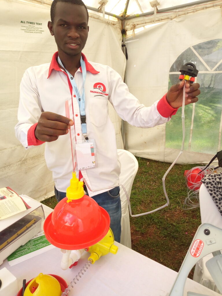 Pius Wekesa Ingokho company
