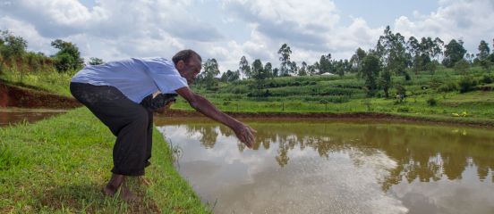 fish ponds cropped