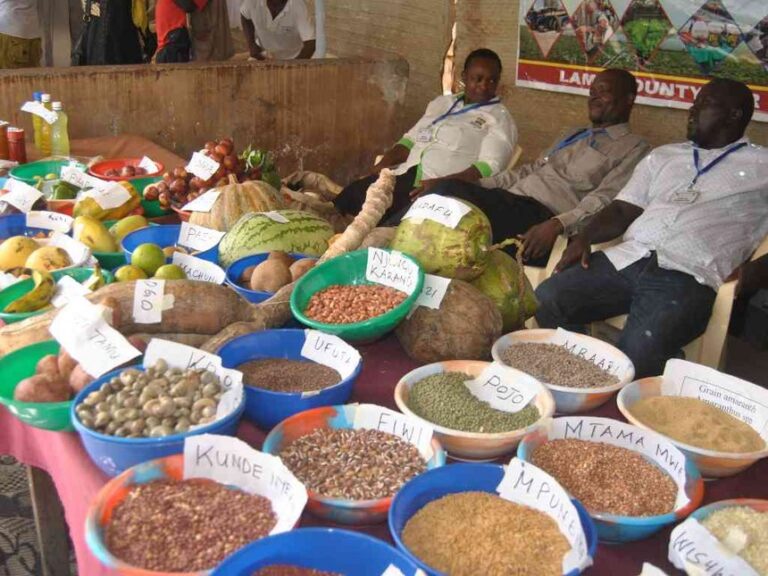food prices