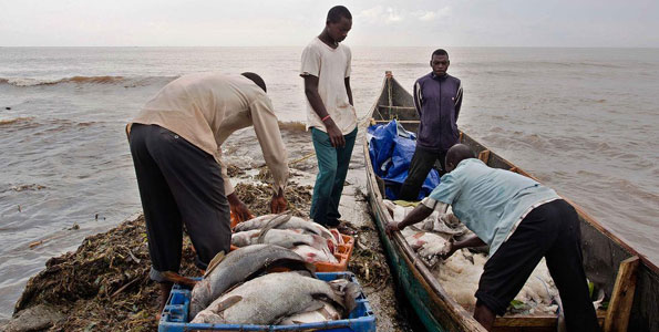 fishing