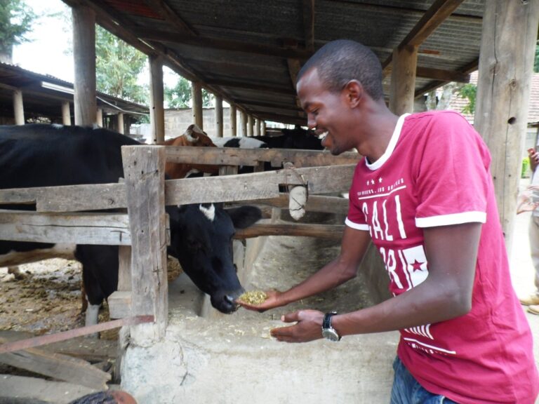 fodder farmpro