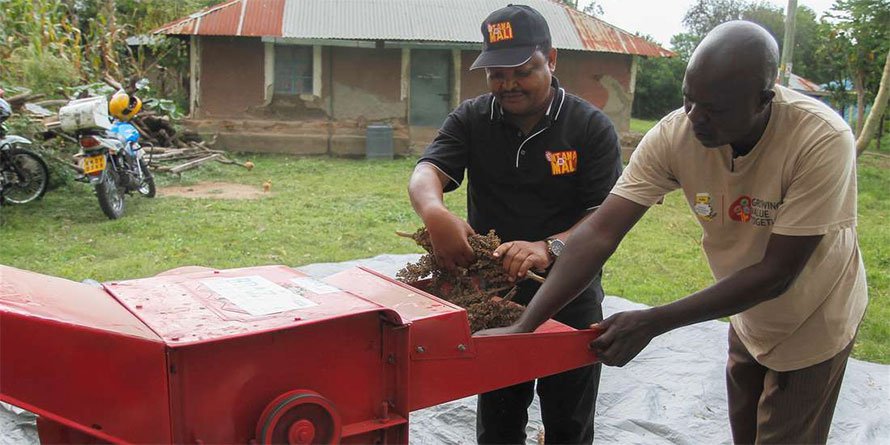 kamugi sorghum threshing machine