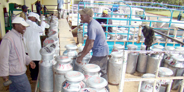 milk delivery