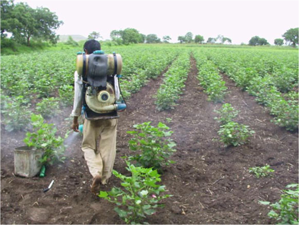 farmer praying pesticide