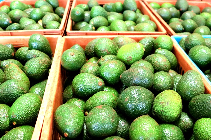 avocado