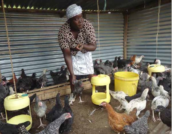 mary mola homa bay