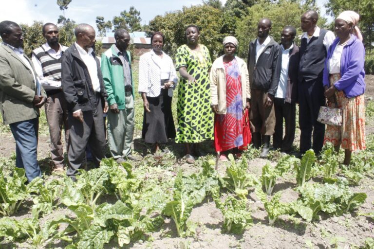 nakuru organic farmers