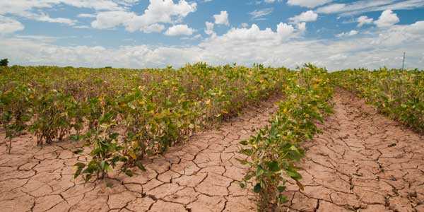 Climate change