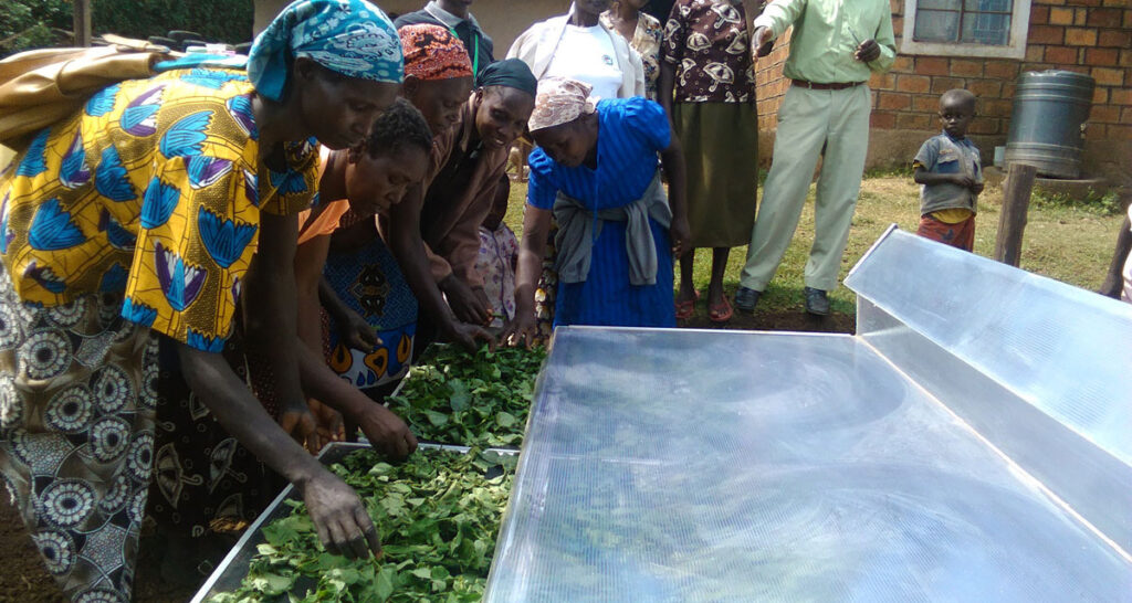 Solar dryer photo Kenya 1200x640