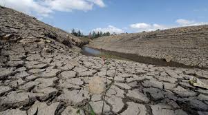 dry land