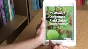 pestmart