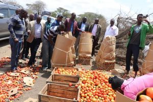 tomato extended crates packaging