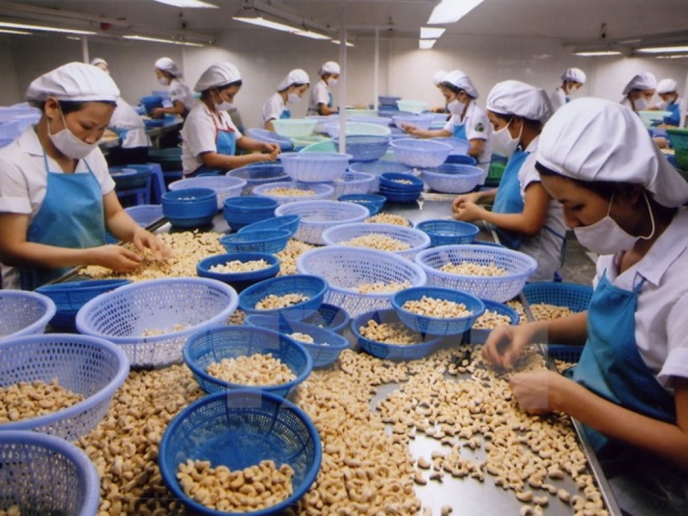 cashewnuts