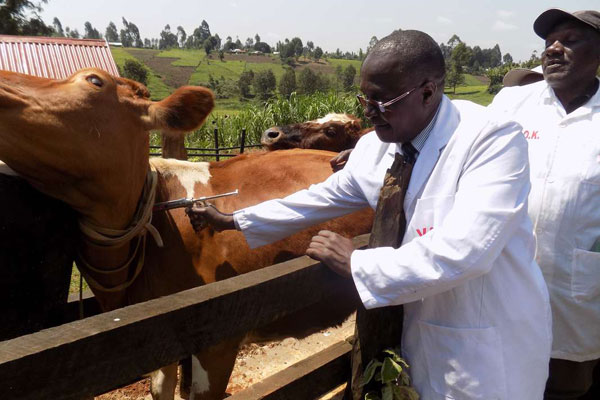 ecf vaccination