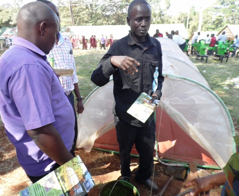 organic digester ondiek