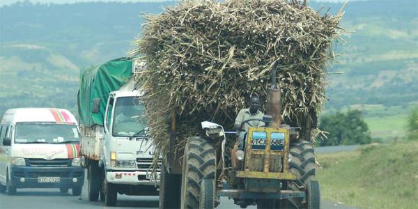 sugarcane tractor