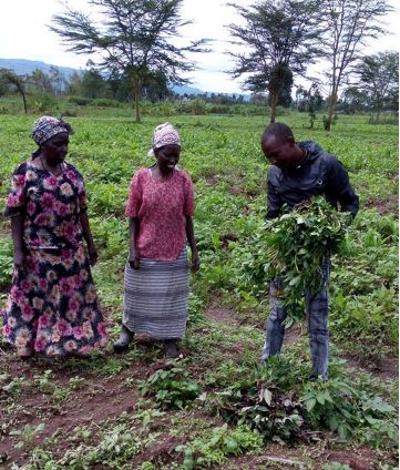 seed savers network