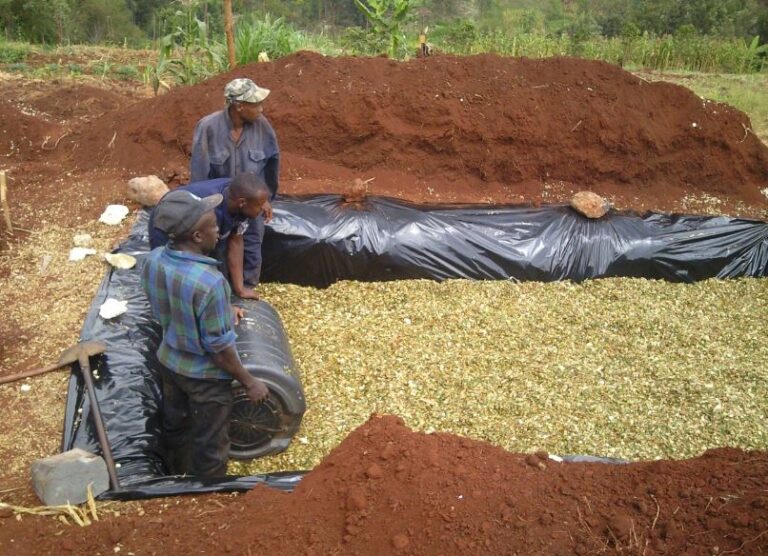silage making
