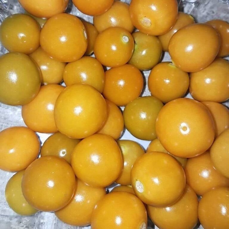 cape gooseberries