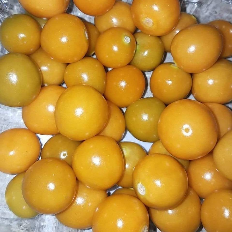 cape gooseberries