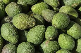hass avocado