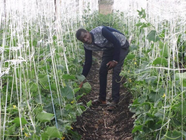 julius ndwati in a greenhouse