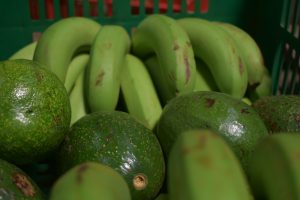 twiga bananas and avocadoes