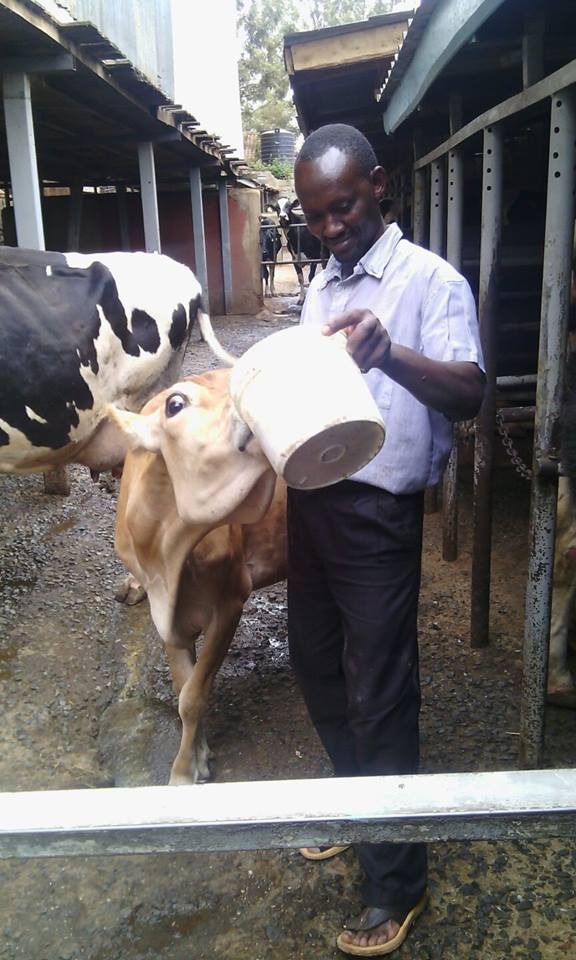 Kariuki dairy
