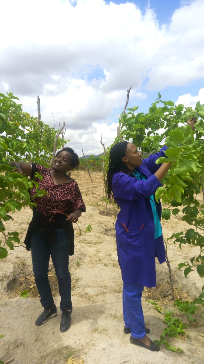 Margaret Mutheu passion farmer
