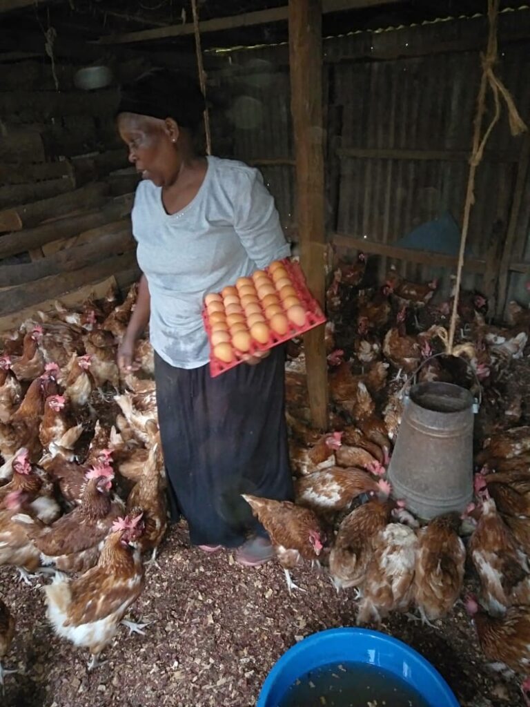 nduku