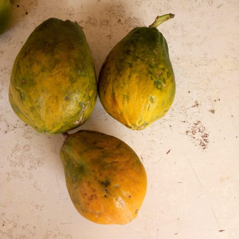 ripe pawpaw fruit