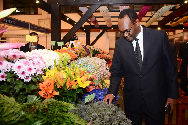 IFTEX flower expo