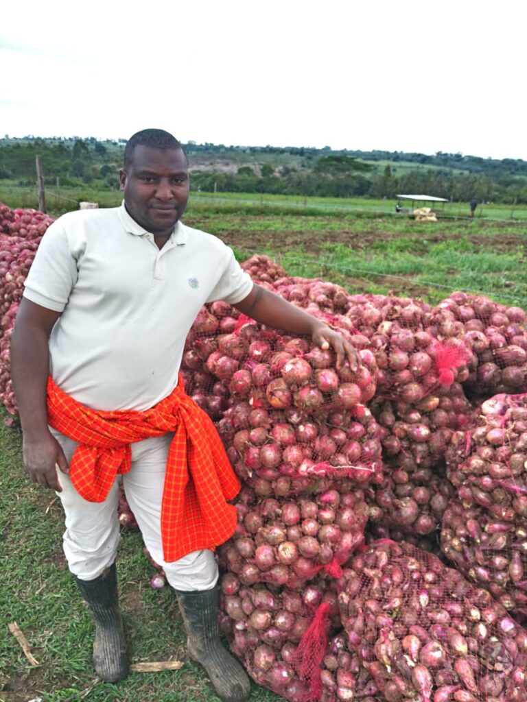 onions lenny gitonga