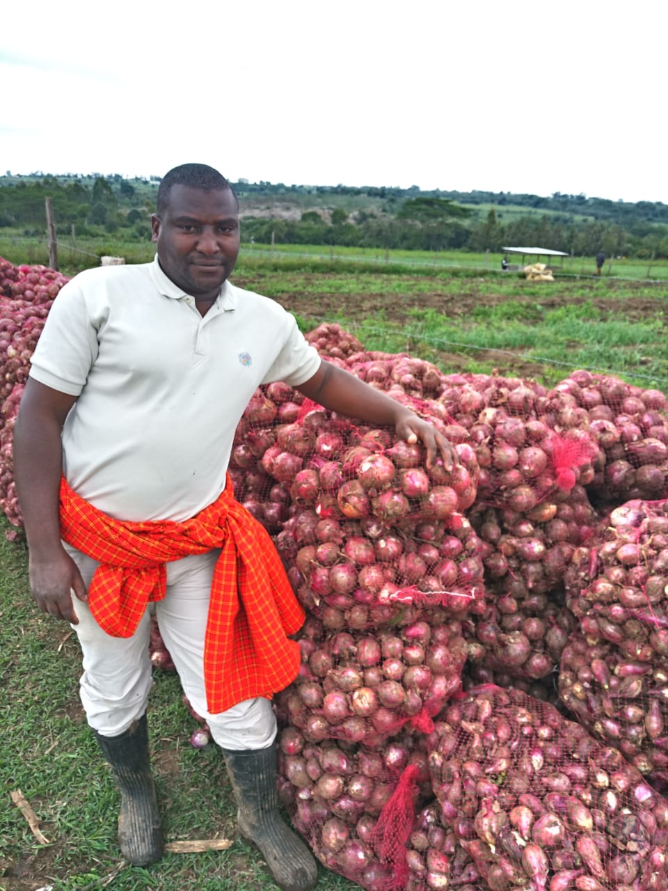onions lenny gitonga