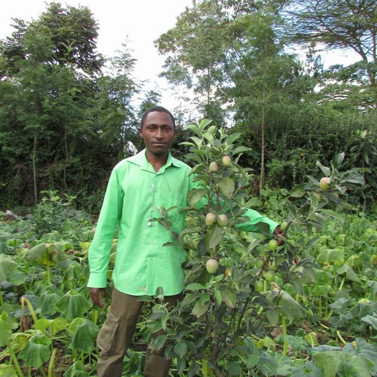 peter wambugu apple farmer laikipia