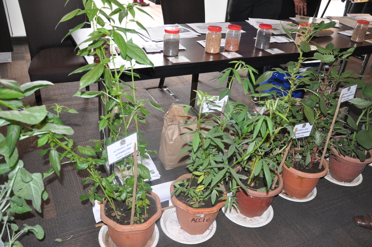 Some of the AIVs on display at the JKUAT stand