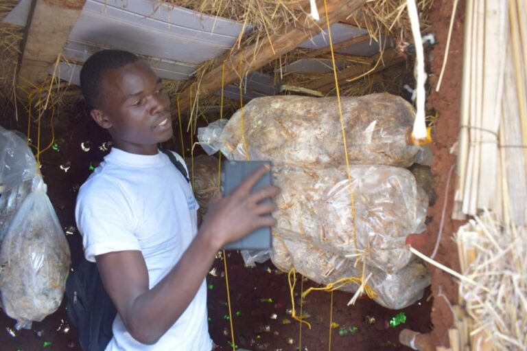 mushroom farmer