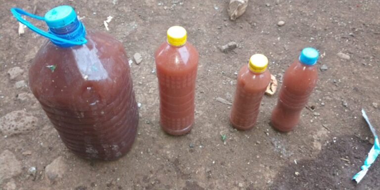 poultry imune booster