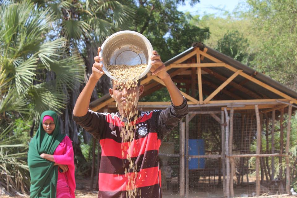 rice farmers in marsabit