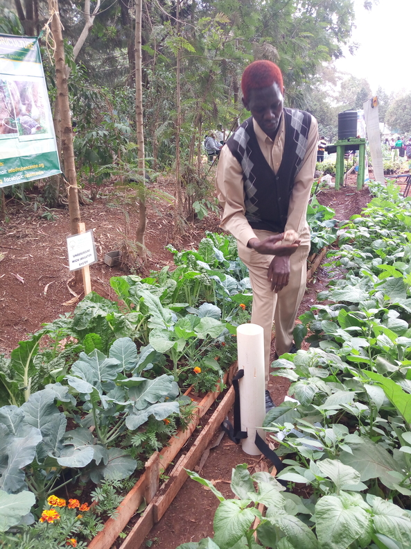 wick irrigation system by Musa Juma