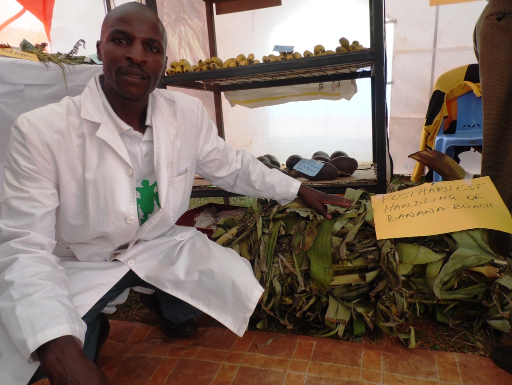 BANANA HANDLING
