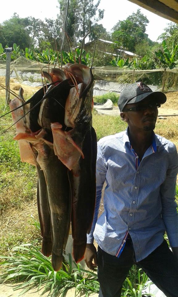 cat fish farmer