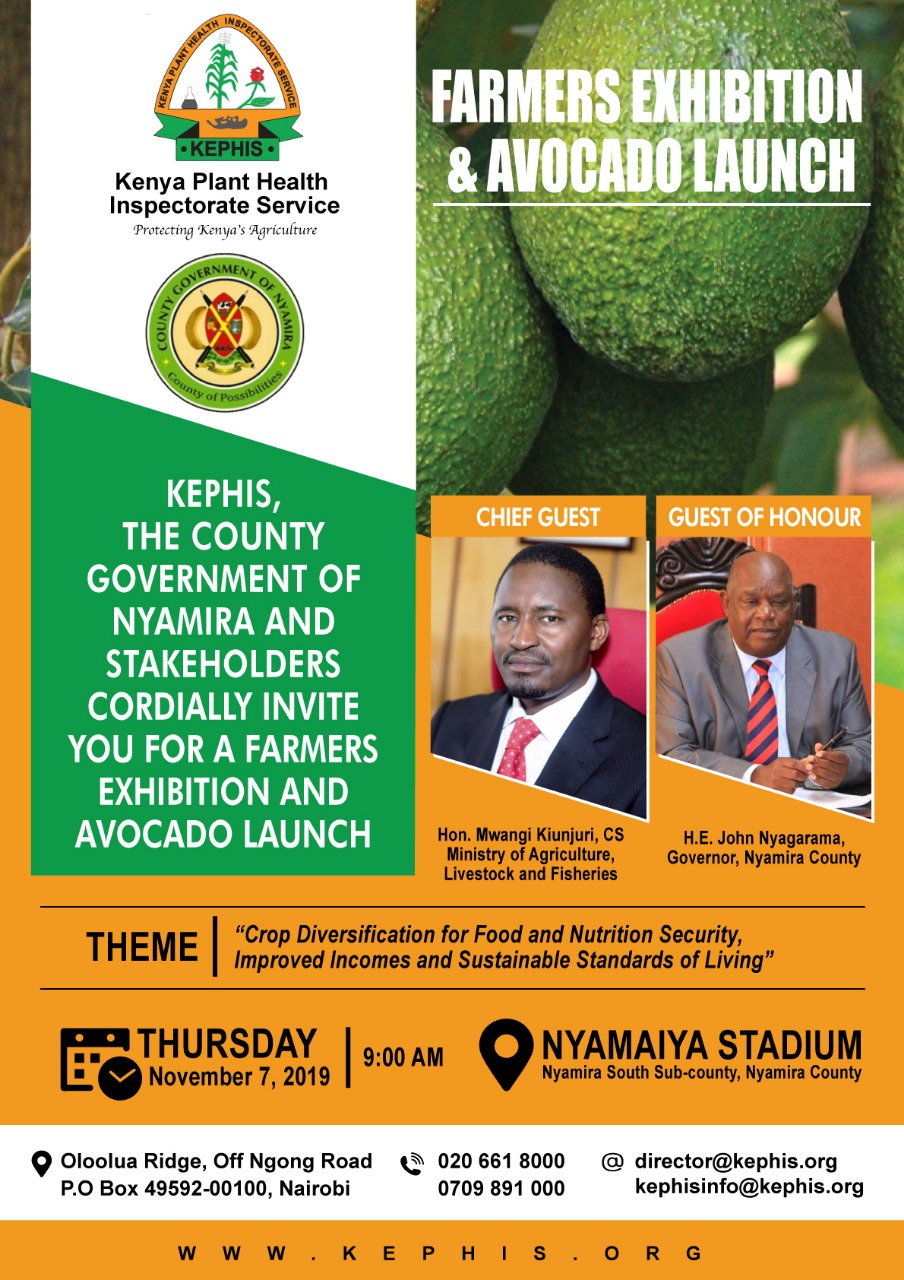 nyamira avocado exhibition