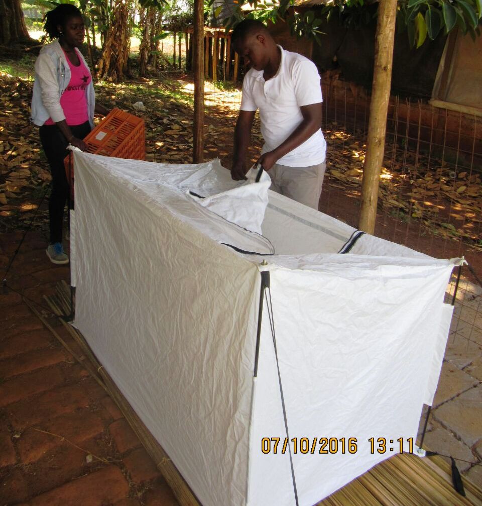 tent cooler wakati