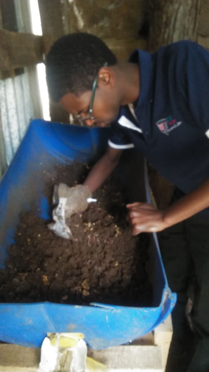 worm farmer redworm earthworm