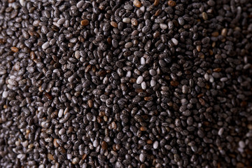 chia 11