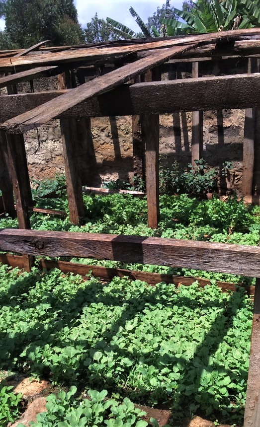 garden 2