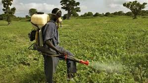 spraying 2