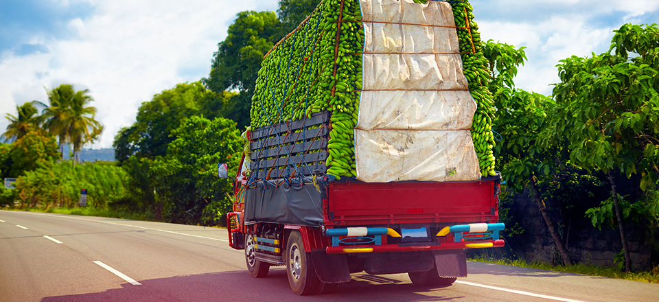 fresh supply chain 2