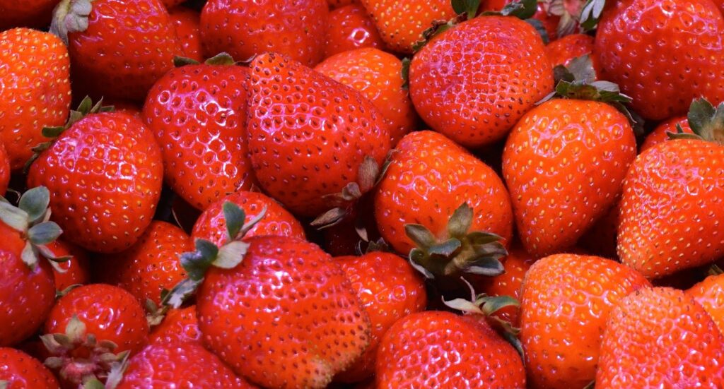 agriculture-close-up-color-confection-277262.jpg